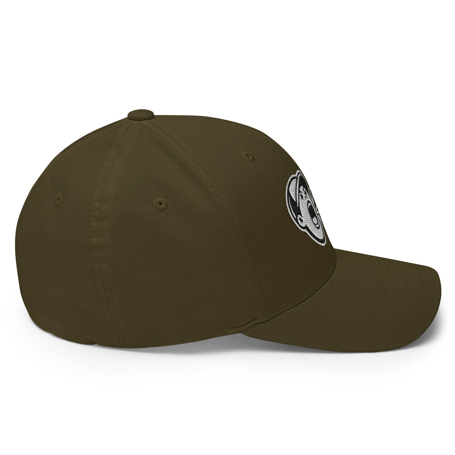 BSJ Logo Flex Fit Cap