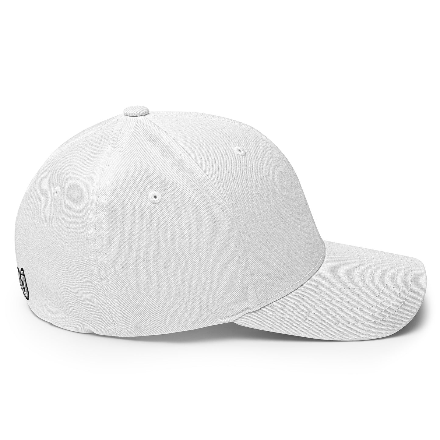 BJS Flex Fit Golf Hat